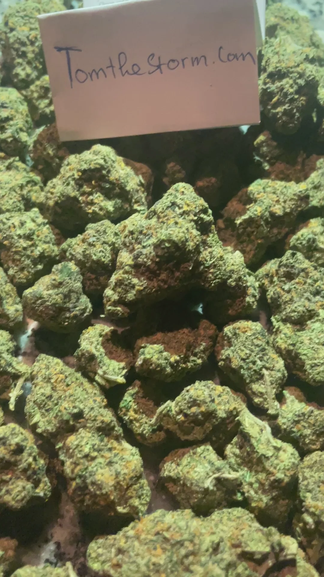 K nhập thái Wedding Cake