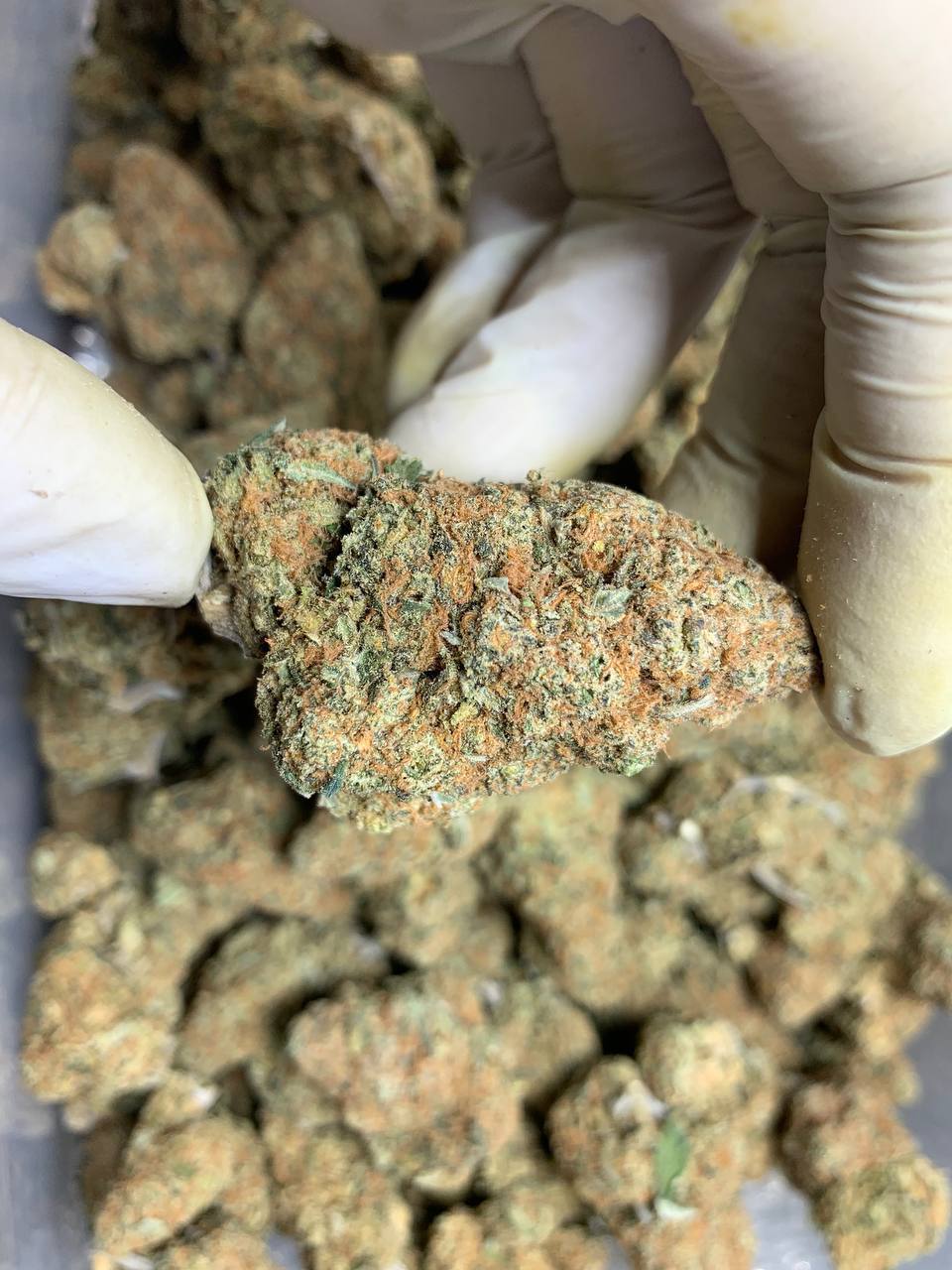 K Thái Vip - Cookie Cream - HN/GX/CPN